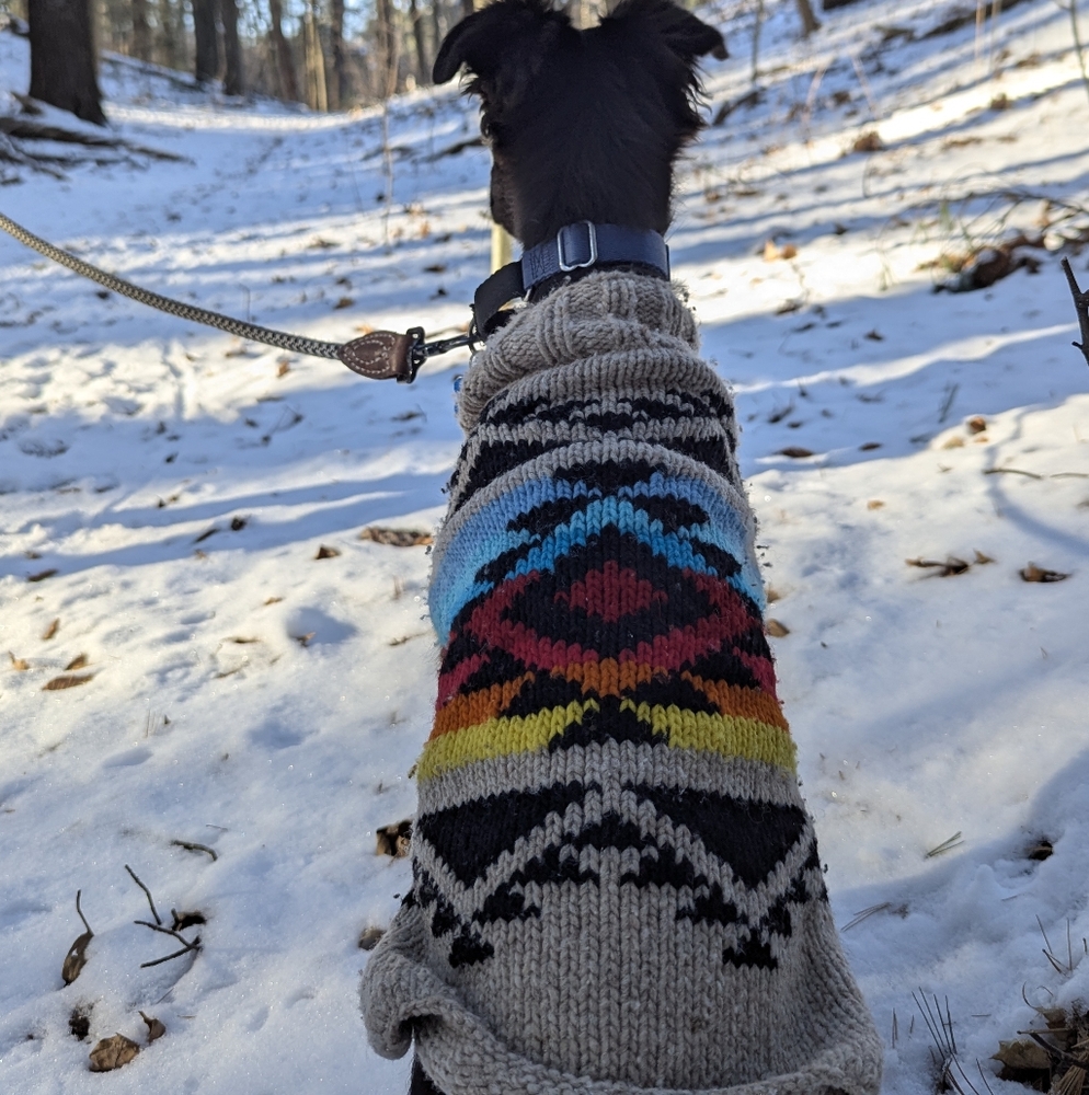 Colorful Knit Dog Sweater